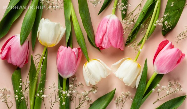 8 марта - картинка с тюльпанами