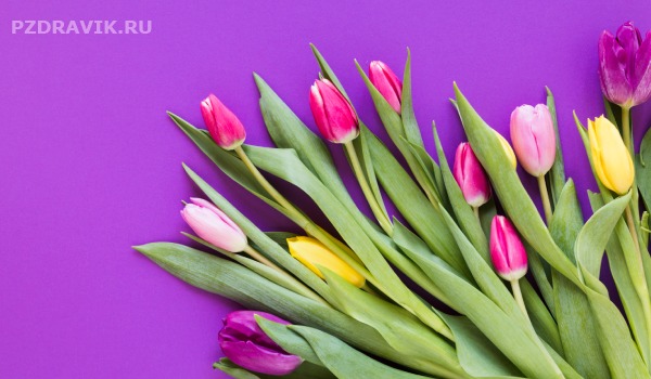 Картинка на 8 марта красивые тюльпаны жеенщинам