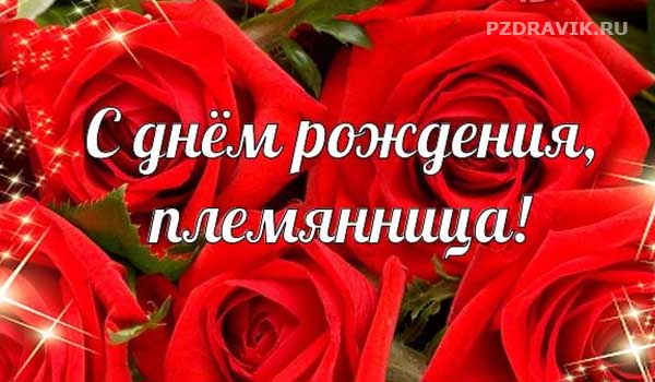 Короткие поздравления с днем рождения племяннице своими словами - Пздравик.ру