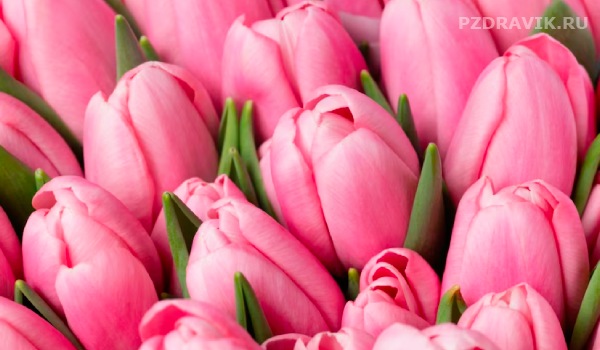 Открытка с цветами для девушки на 8 марта